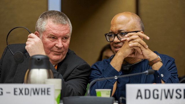 Newsflash Summer 2025